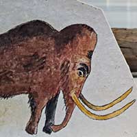 Zeichnung eines Mammut auf Steinplatte