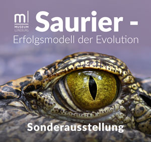 Saurier – Erfolgsmodell der Evolution. Sonderausstellung. Grafik: Museum Lüneburg.