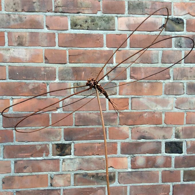geflochtene Libelle auf einem Stock vor einer Mauer