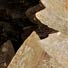 auskristallisierter Seeigel, Detail