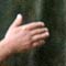 Detail: ausgestreckte Hand vor Baumstämmen
