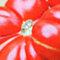dicke Tomate, Detail